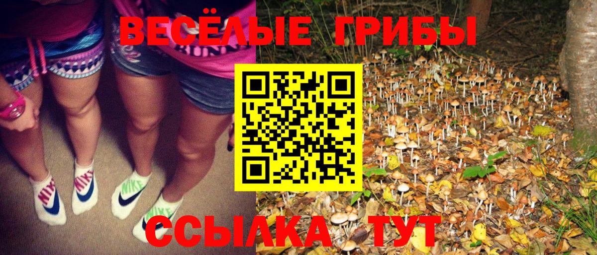 Надым  Псилоцибиновые грибы прущие грибы  Вход с VPN  Псилоцибиновые грибы GOLDEN TEACHER 