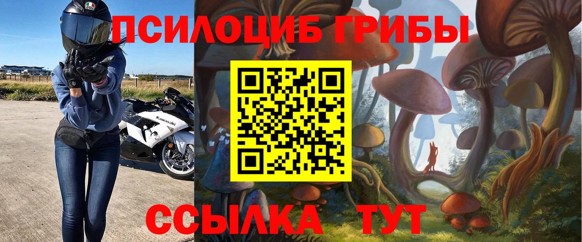 Псилоцибиновые грибы мухоморы Надым